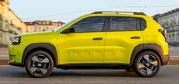 panda